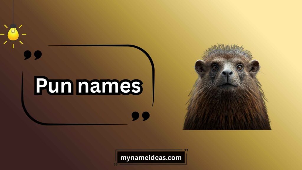 Animal Names