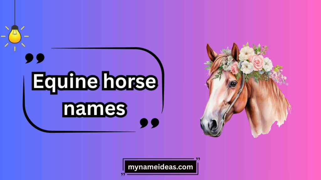 Equine Horse Names by Gender