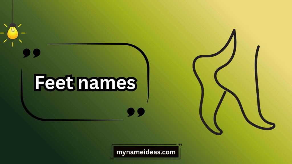 Main Parts of the Human Foot