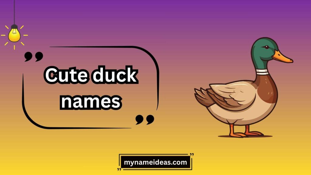 Male Duck Names