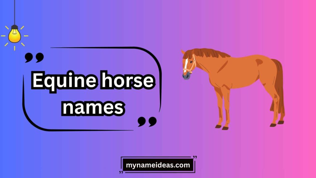 Popular Categories of Equine Horse Names