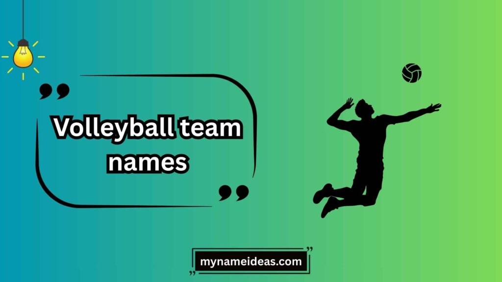 Popular Funny Volleyball Names