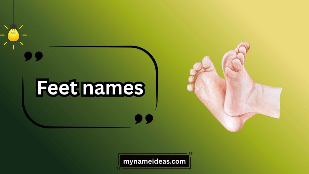 Scientific Names of Feet Parts