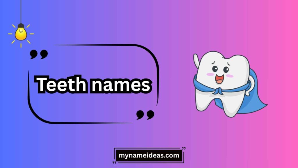 Premolars: The Transitional Teeth