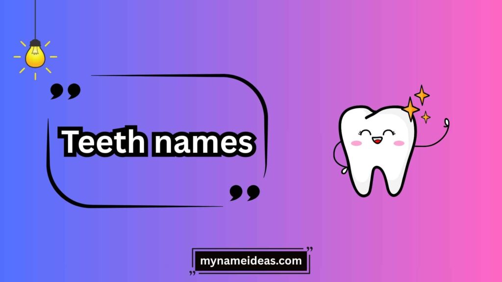 Wisdom Teeth: The Last Arrivals