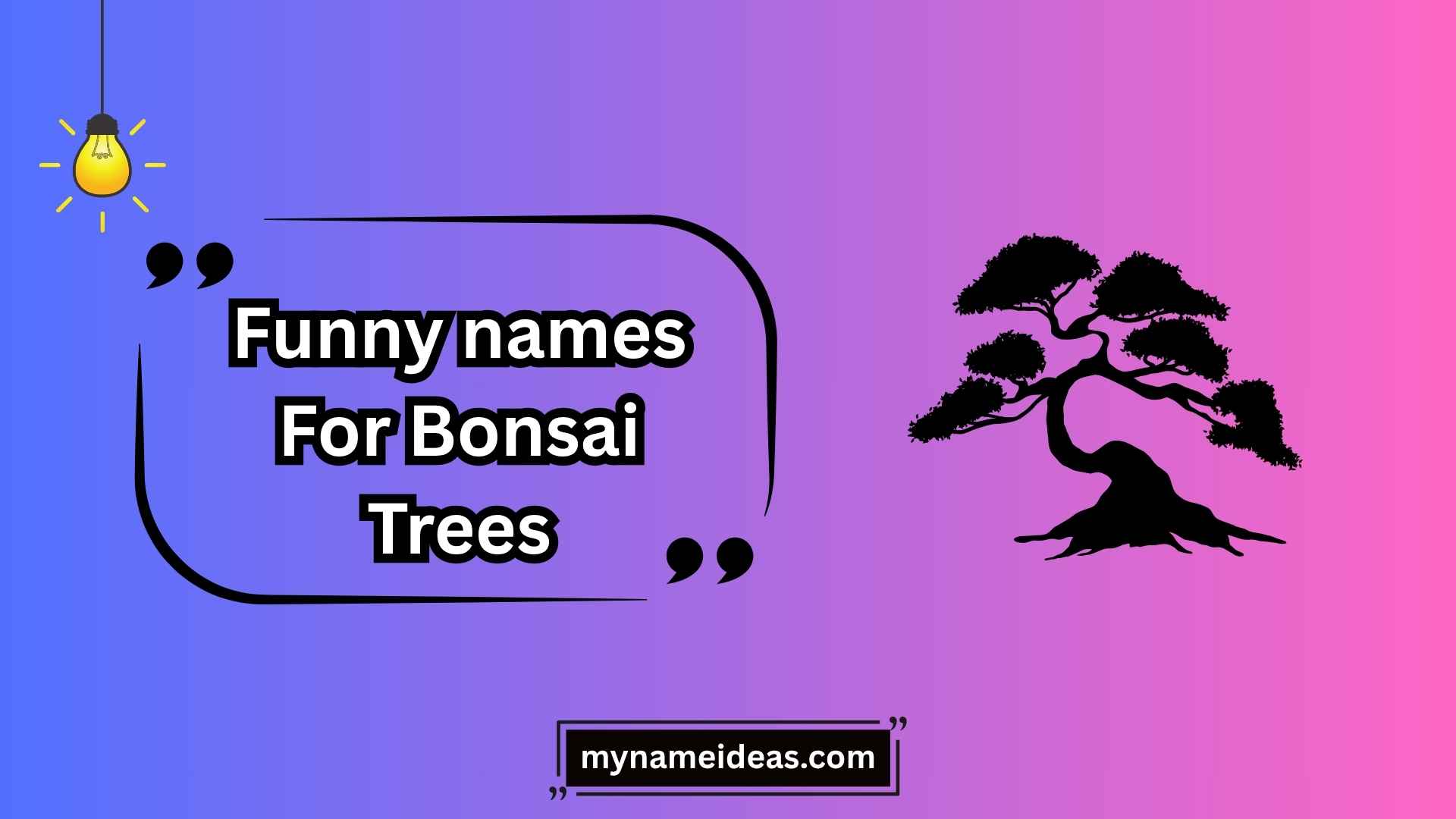 funny names for bonsai trees