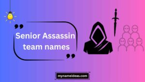 senior assassin team names