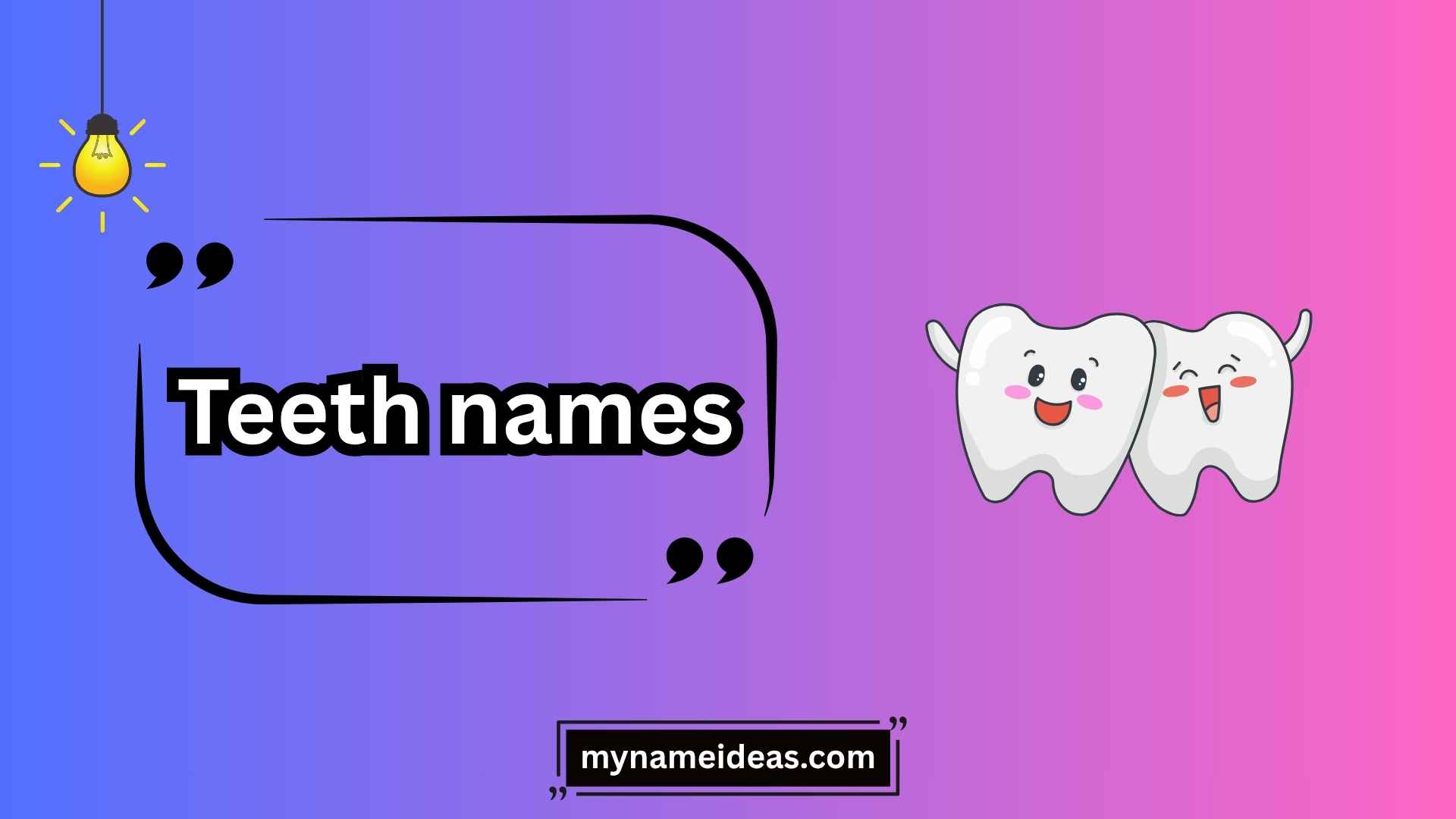 teeth names